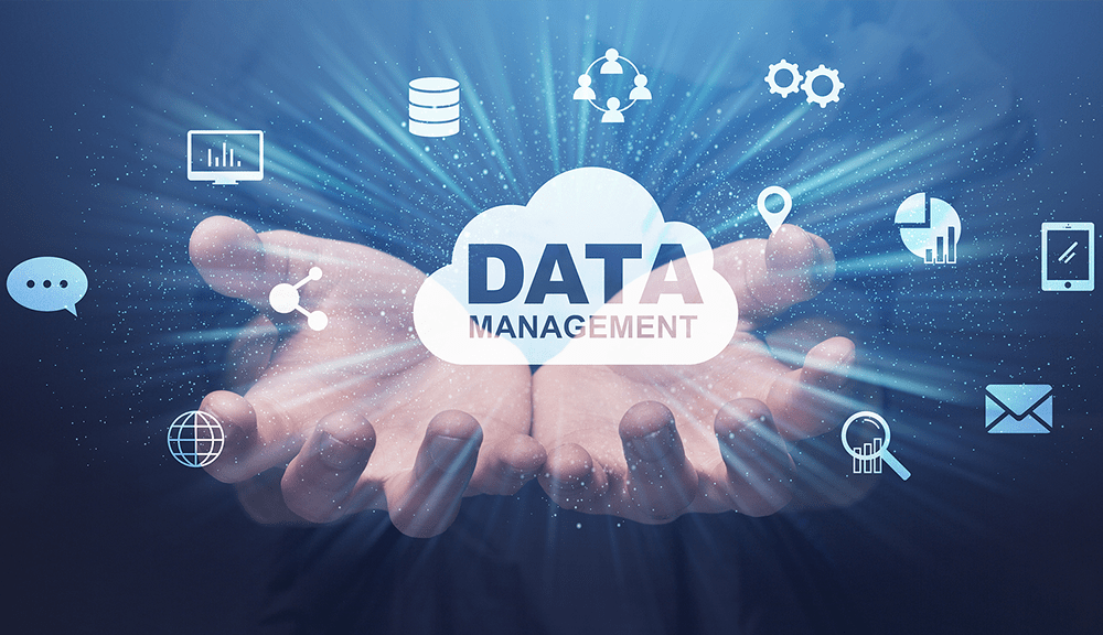 Data Management Service